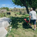 La nature au service des maraîchers du jardin Urbavar