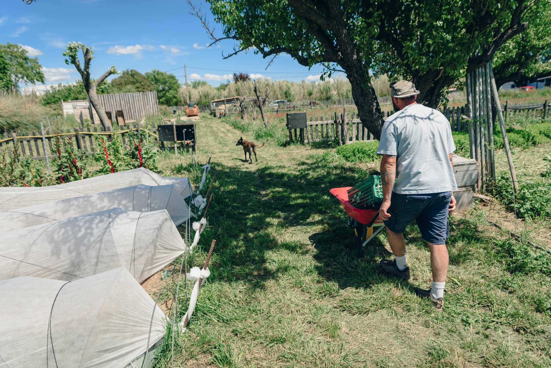 La nature au service des maraîchers du jardin Urbavar